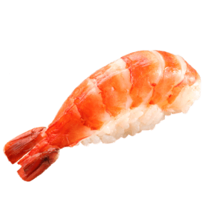 Ebi Nigiri