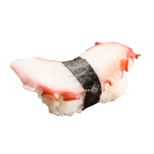 Tako Nigiri